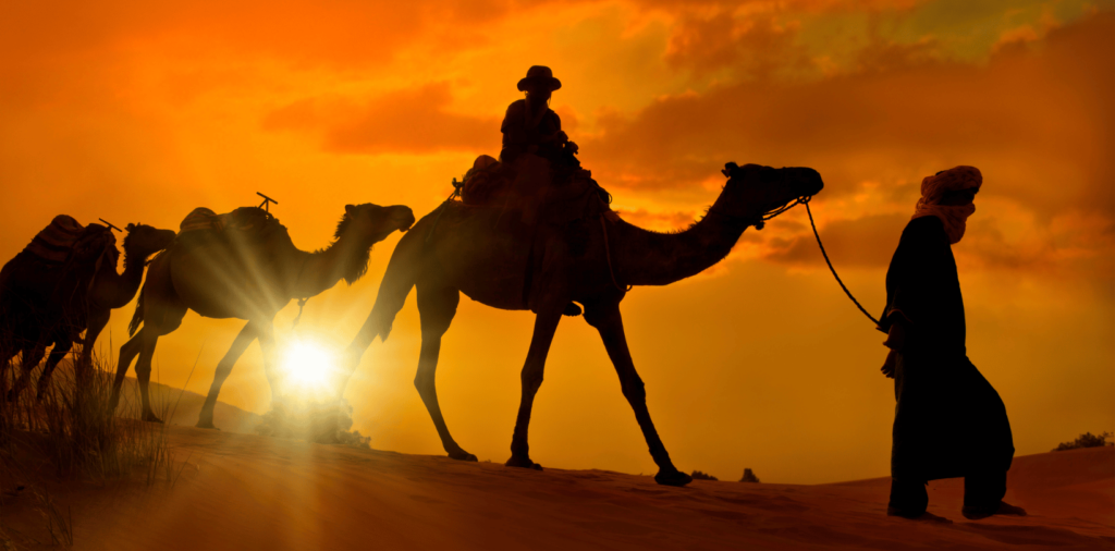 Noche en Merzouga a camello